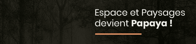 Papaya Urbanistes et Architectes paysagistes
