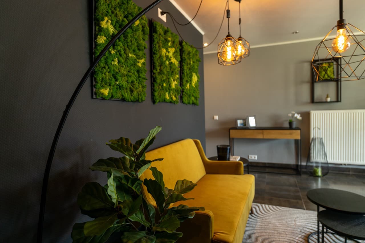 Highlight Consulting