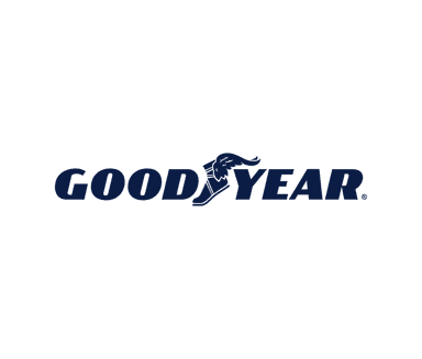 The Goodyear Tire & Rubber Company
